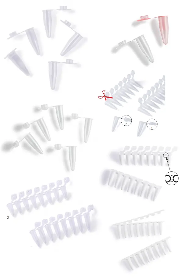PCR Tubes