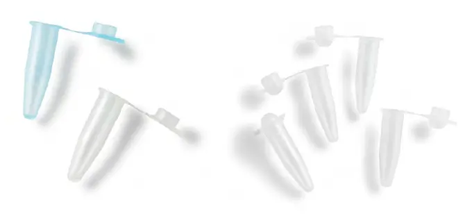 PCR Tubes