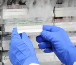 Cryoinstant – Close the cryovial and freeze Cryoinstant - Close the cryovial and freeze