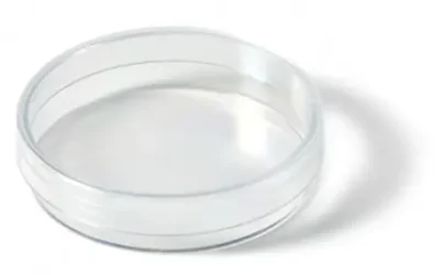 Perti Dish - 55x15 mm
