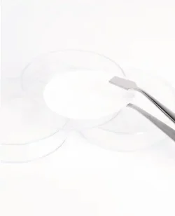 Polycarbonate membranes