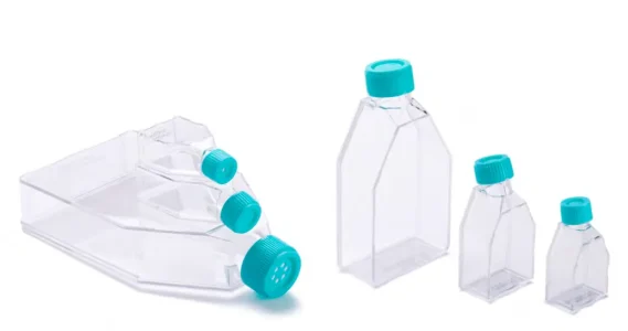 Cell-Tissue Culture Flask Cell-Tissue Culture Flask