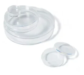 Dishes Dishes